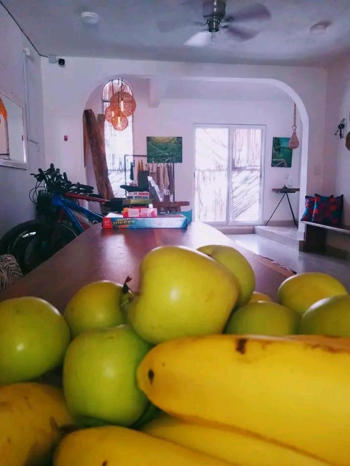 Casa Bizu Bed & Breakfast Бакалар Екстериор снимка